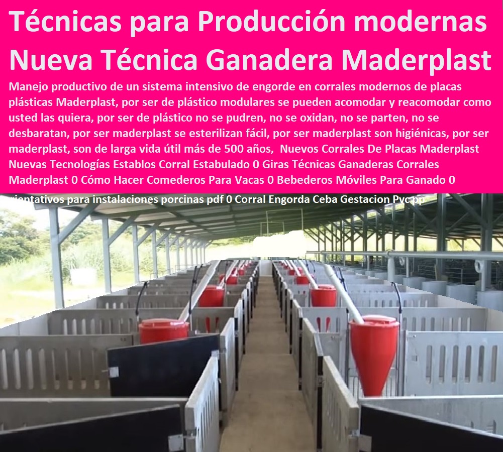 Nuevos Corrales De Placas Maderplast Nuevas Tecnologías Establos Corral Estabulado 0 Giras Técnicas Ganaderas Corrales Maderplast 0 Cómo Hacer Comederos Para Vacas 0 Bebederos Móviles Para Ganado 0 Explotación Ganadera Automatizada, Sistemas de Pastoreo, Estabulación de Ganado, Pastoreo Intensivo, Establos, Corrales, Saladeros, Comederos, Cerramientos, Postes, Ganaderías Tecnificadas, Ganaderías Tecnificadas, Técnicas de Producción modernas Nuevos Corrales De Placas Maderplast Nuevas Tecnologías Establos Corral Estabulado 0 Giras Técnicas Ganaderas Corrales Maderplast 0 Cómo Hacer Comederos Para Vacas 0 Bebederos Móviles Para Ganado 0 Técnicas de Producción modernas